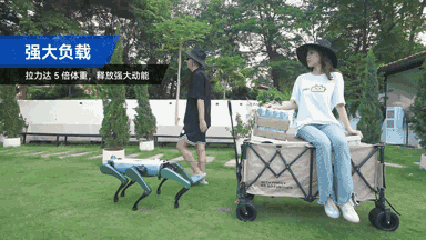 具身智能機器人,具身智能,X-Trainer,AI機器人,六足仿生機器人、強大負載，輕松拓展